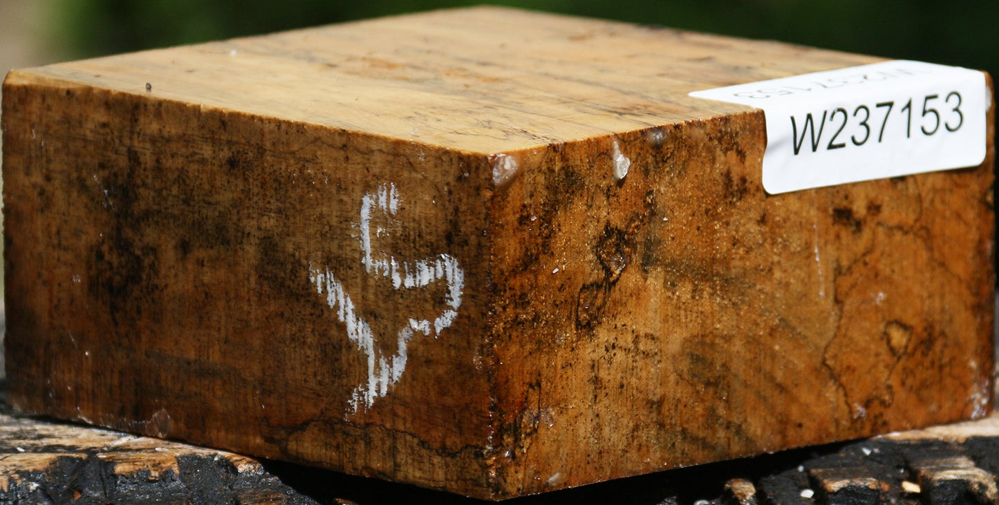 Spalted Tamarind Bowl Blank