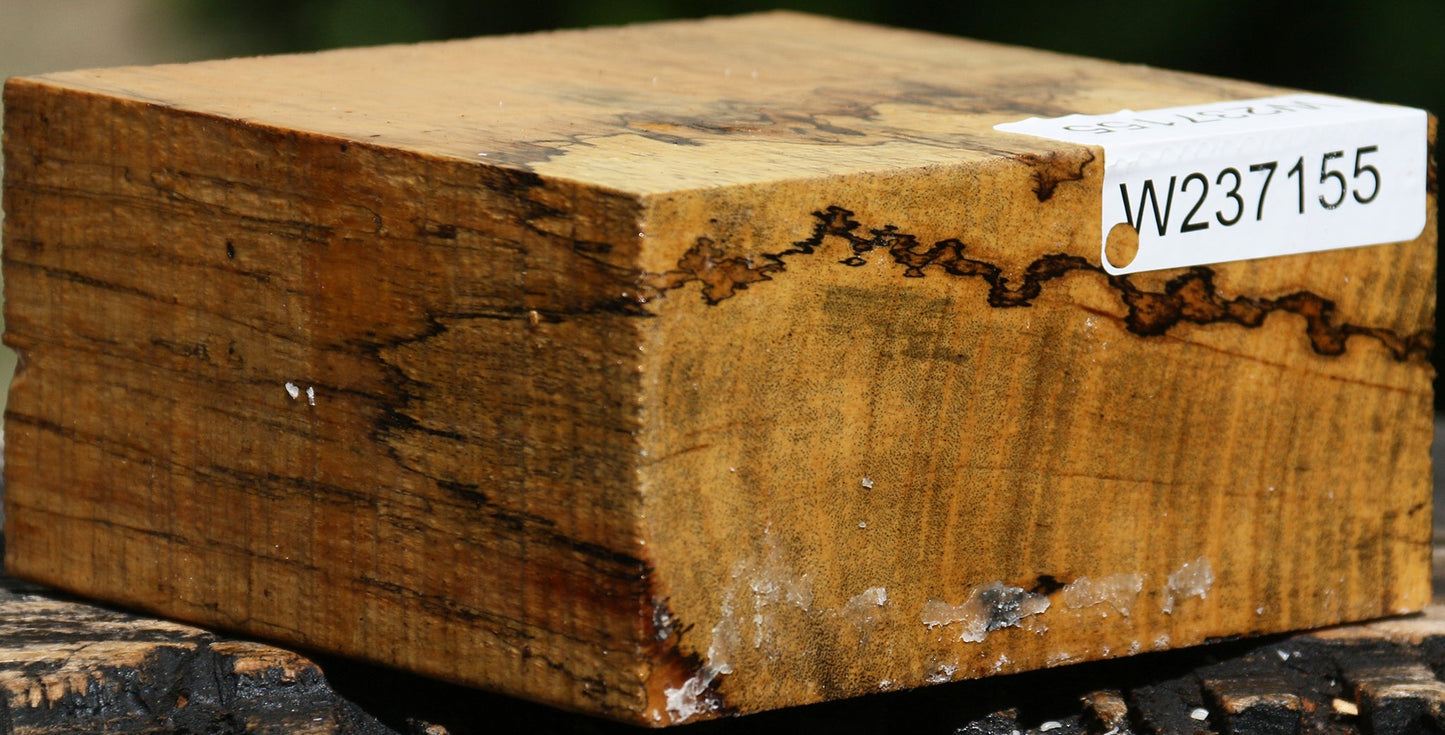Figured Spalted Tamarind Bowl Blank