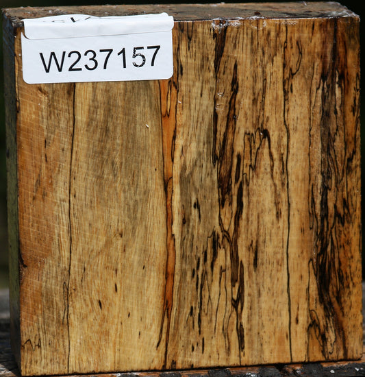 Figured Spalted Tamarind Bowl Blank