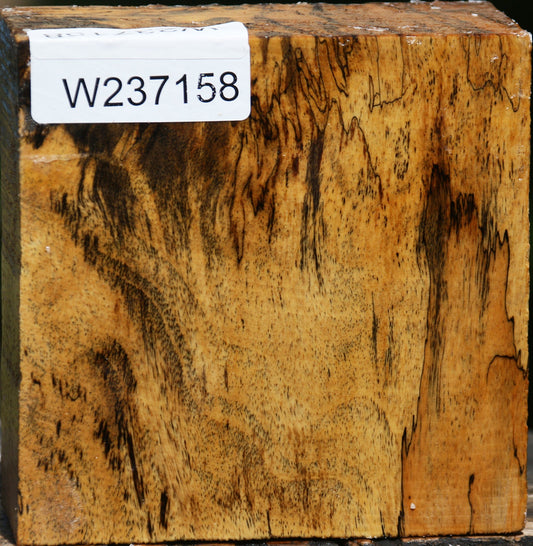 Figured Spalted Tamarind Bowl Blank