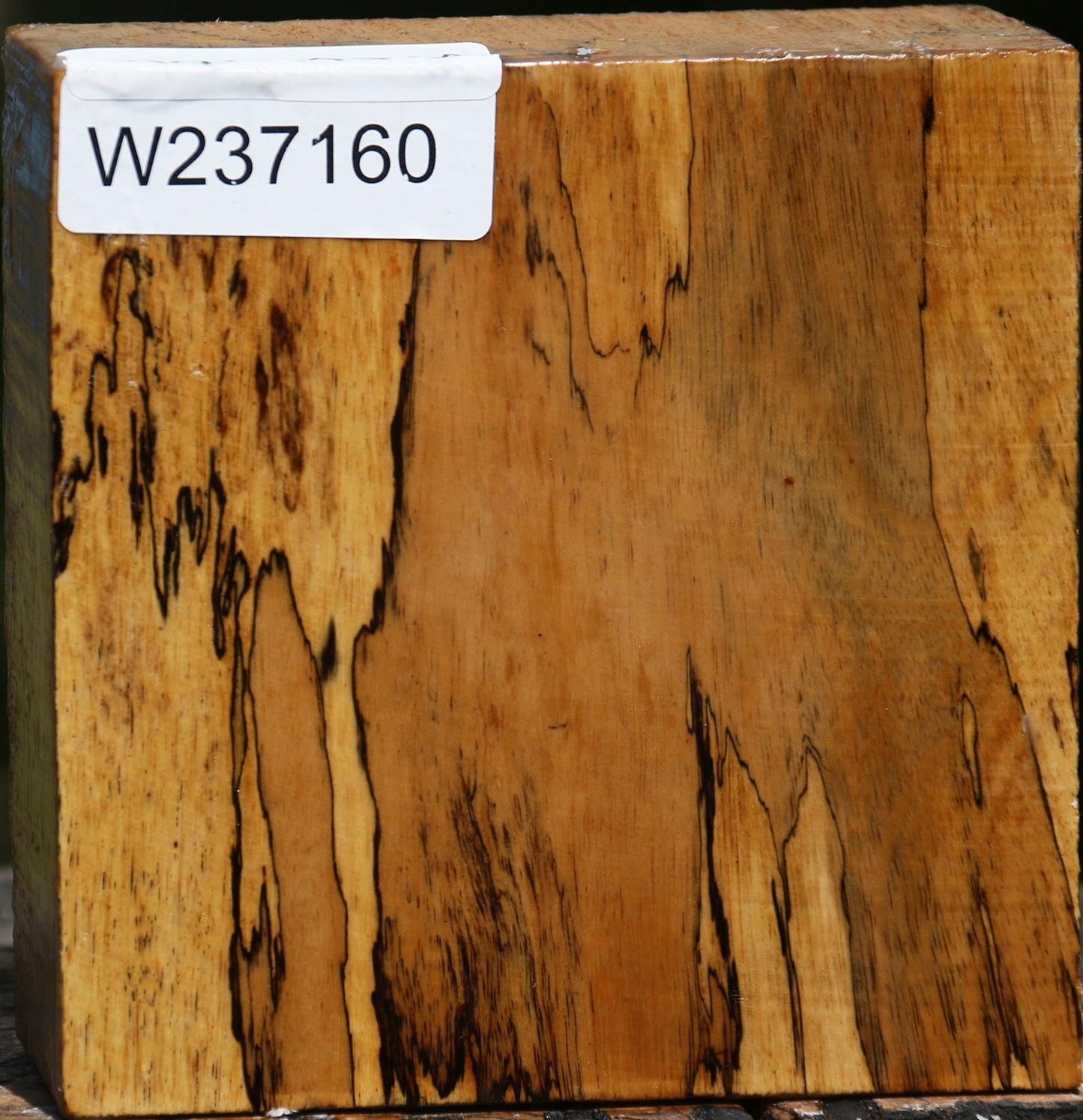 Figured Spalted Tamarind Bowl Blank