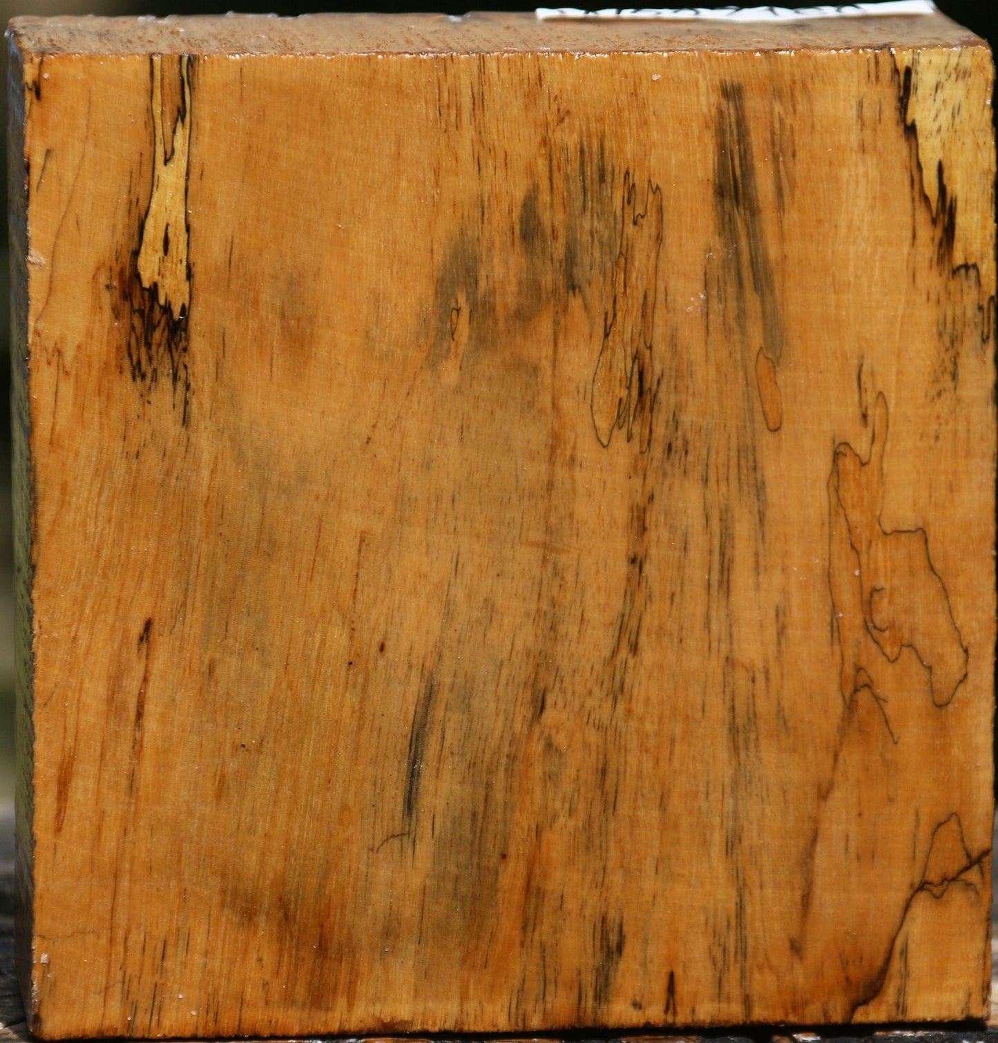 Figured Spalted Tamarind Bowl Blank