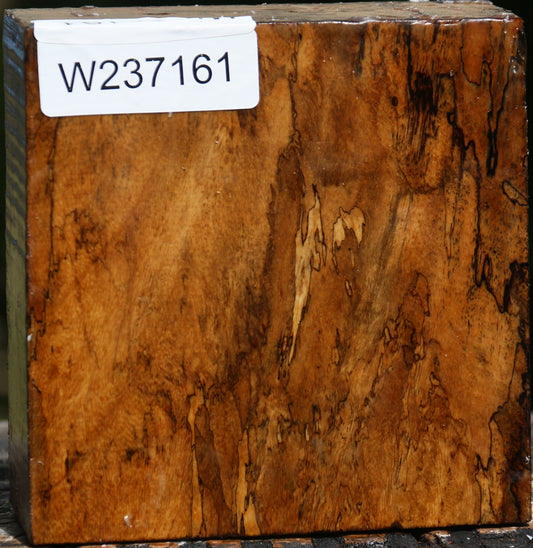 Figured Spalted Tamarind Bowl Blank