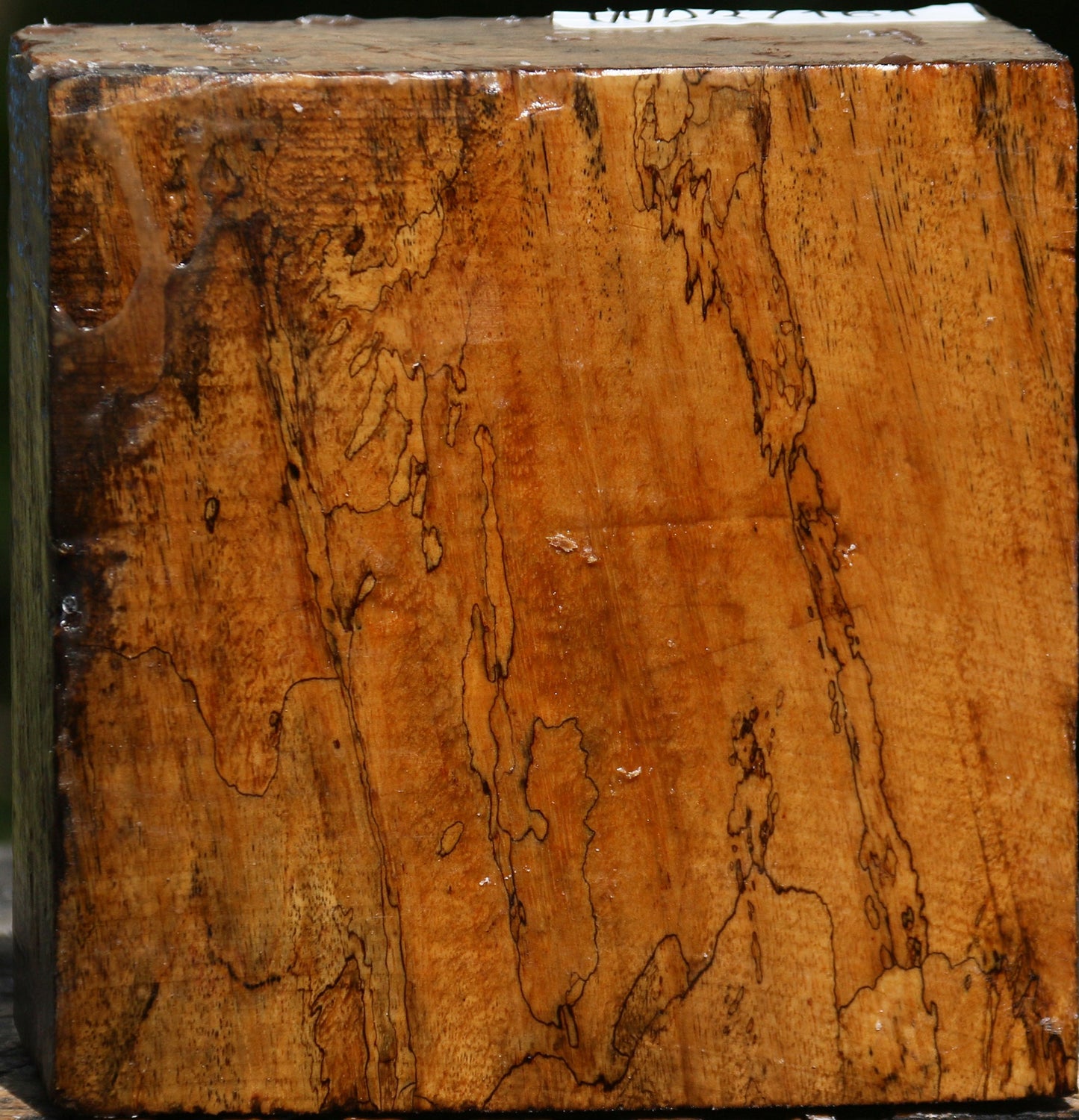 Figured Spalted Tamarind Bowl Blank