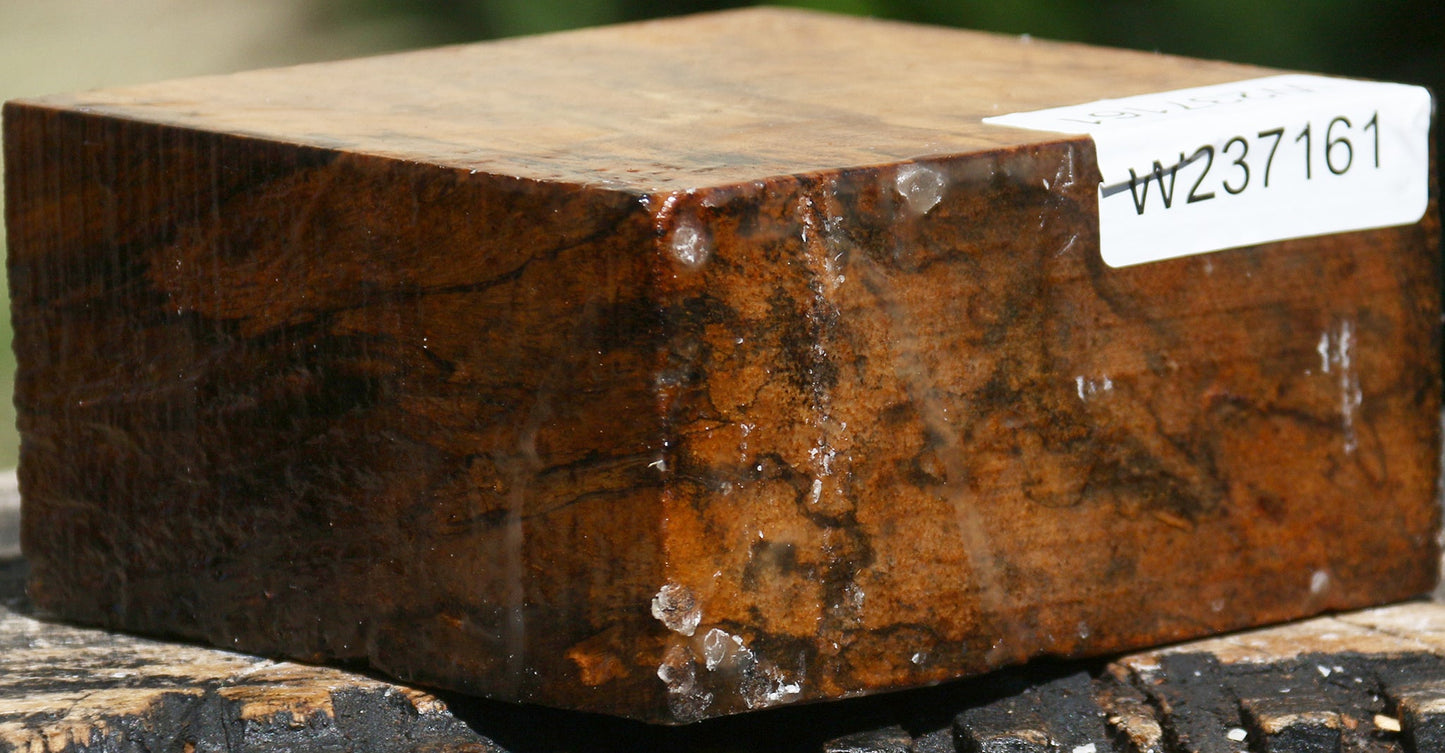 Figured Spalted Tamarind Bowl Blank
