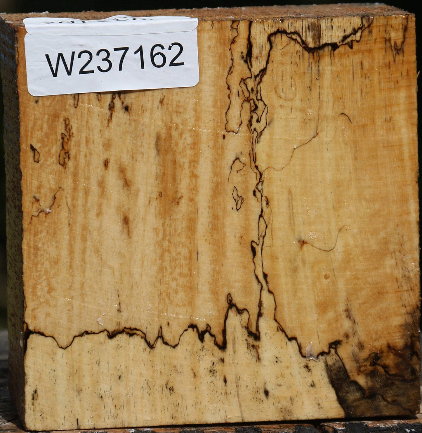 Spalted Tamarind Bowl Blank