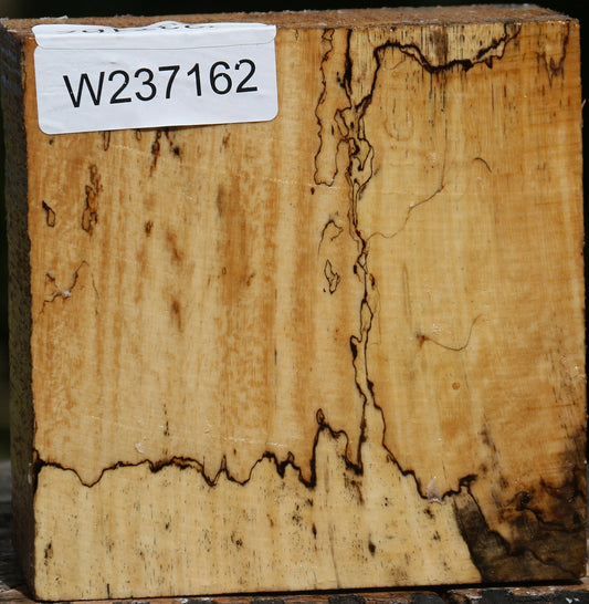 Spalted Tamarind Bowl Blank