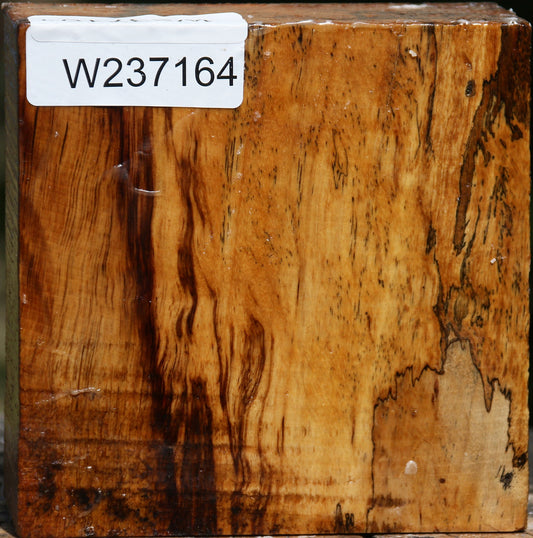 Figured Spalted Tamarind Bowl Blank