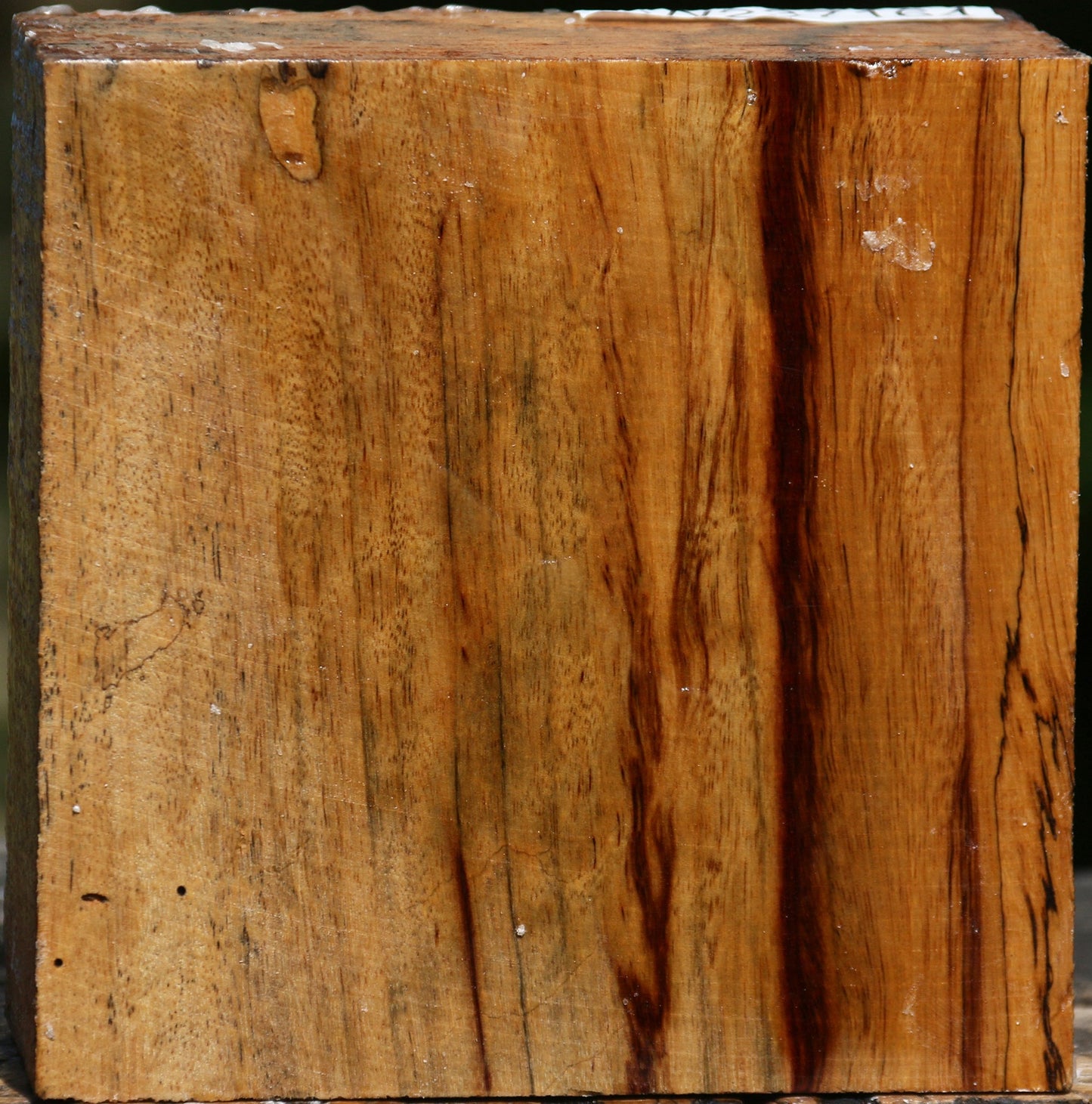 Figured Spalted Tamarind Bowl Blank