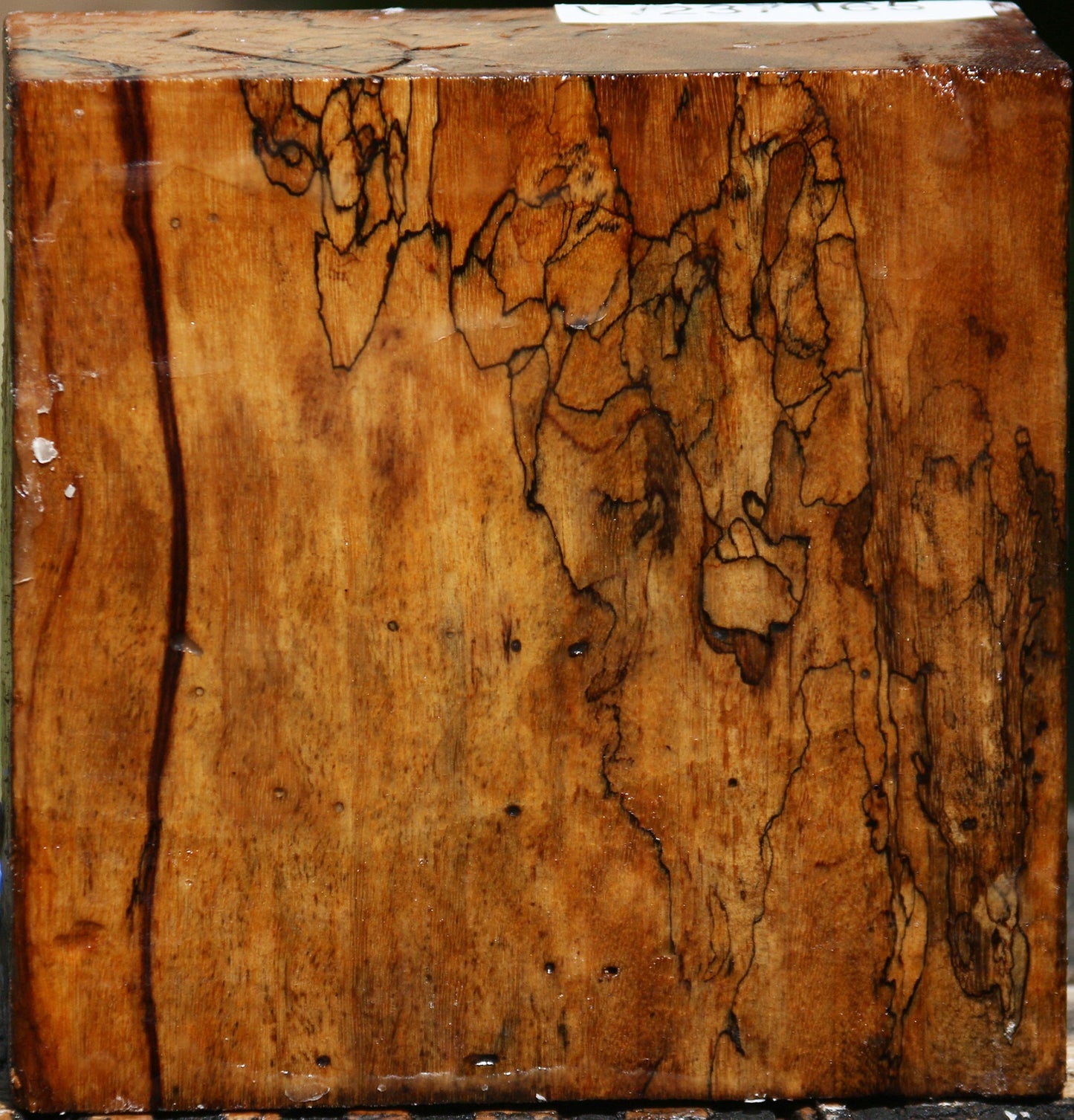 Extra Fancy Spalted Tamarind Bowl Blank