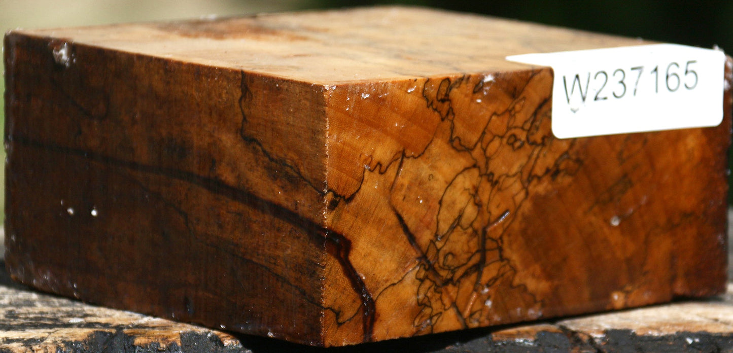 Extra Fancy Spalted Tamarind Bowl Blank