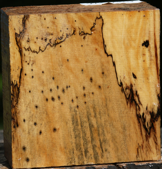 Spalted Tamarind Bowl Blank