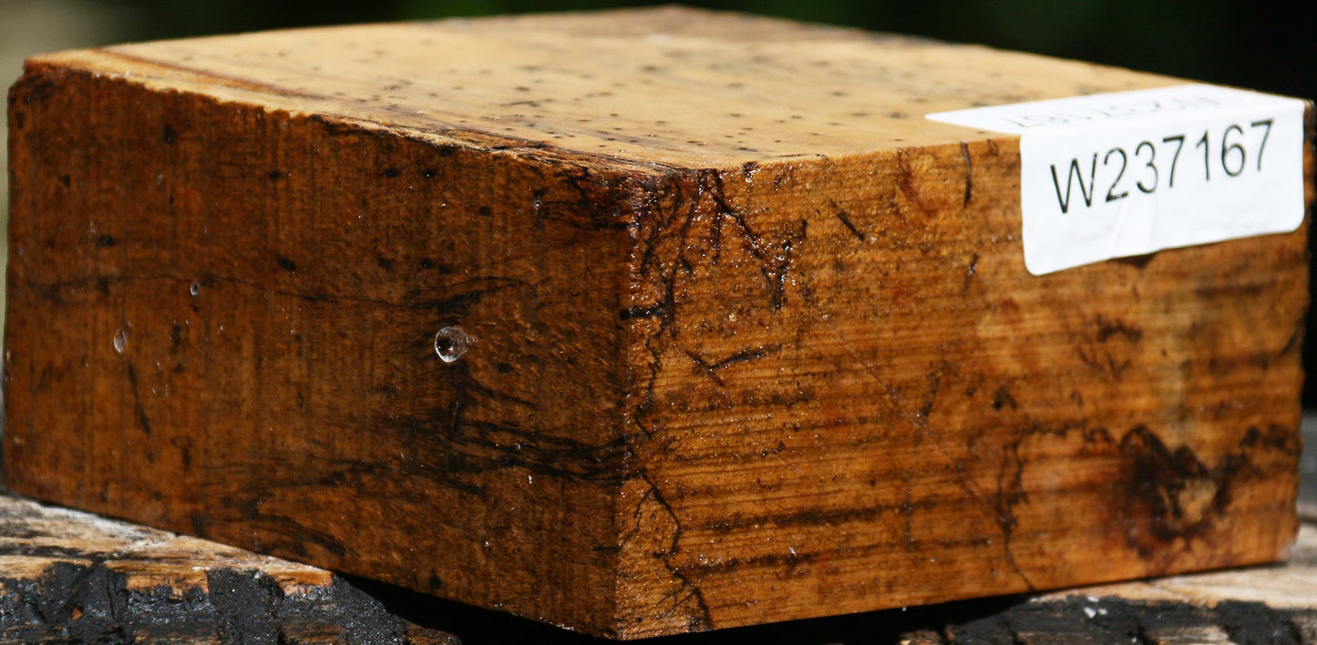 Spalted Tamarind Bowl Blank