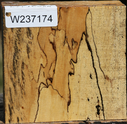 Figured Spalted Tamarind Bowl Blank