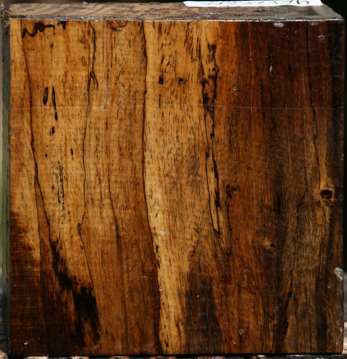 Spalted Tamarind Bowl Blank