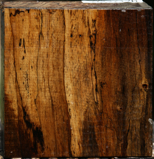 Spalted Tamarind Bowl Blank