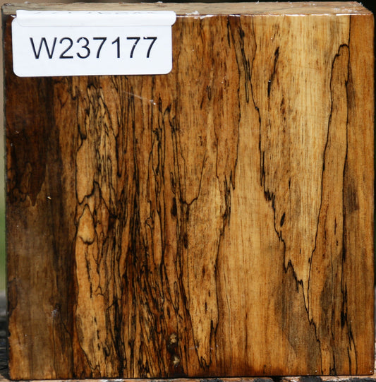 Spalted Tamarind Bowl Blank