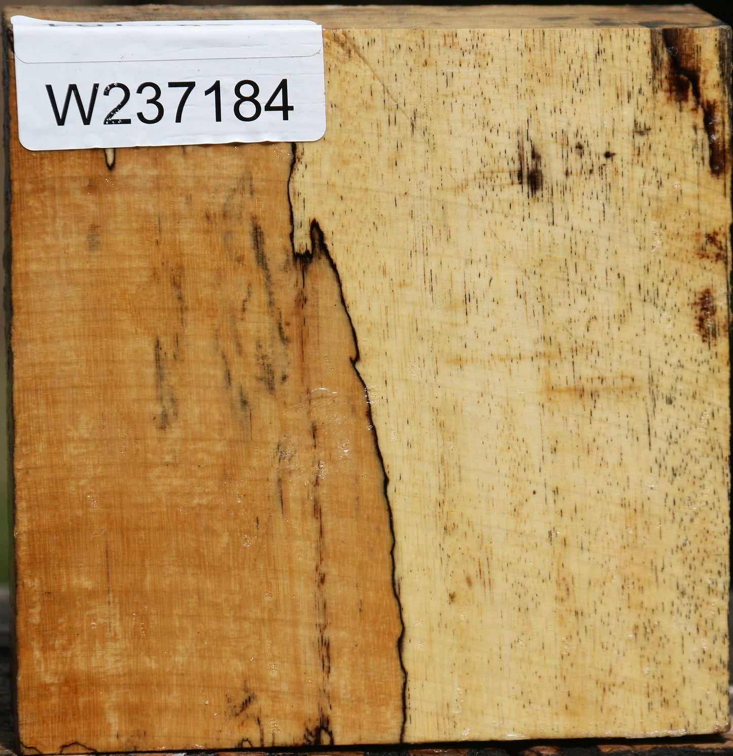 Spalted Tamarind Bowl Blank