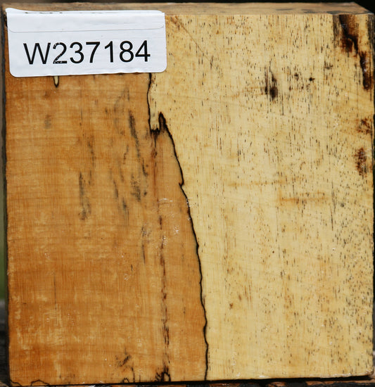 Spalted Tamarind Bowl Blank