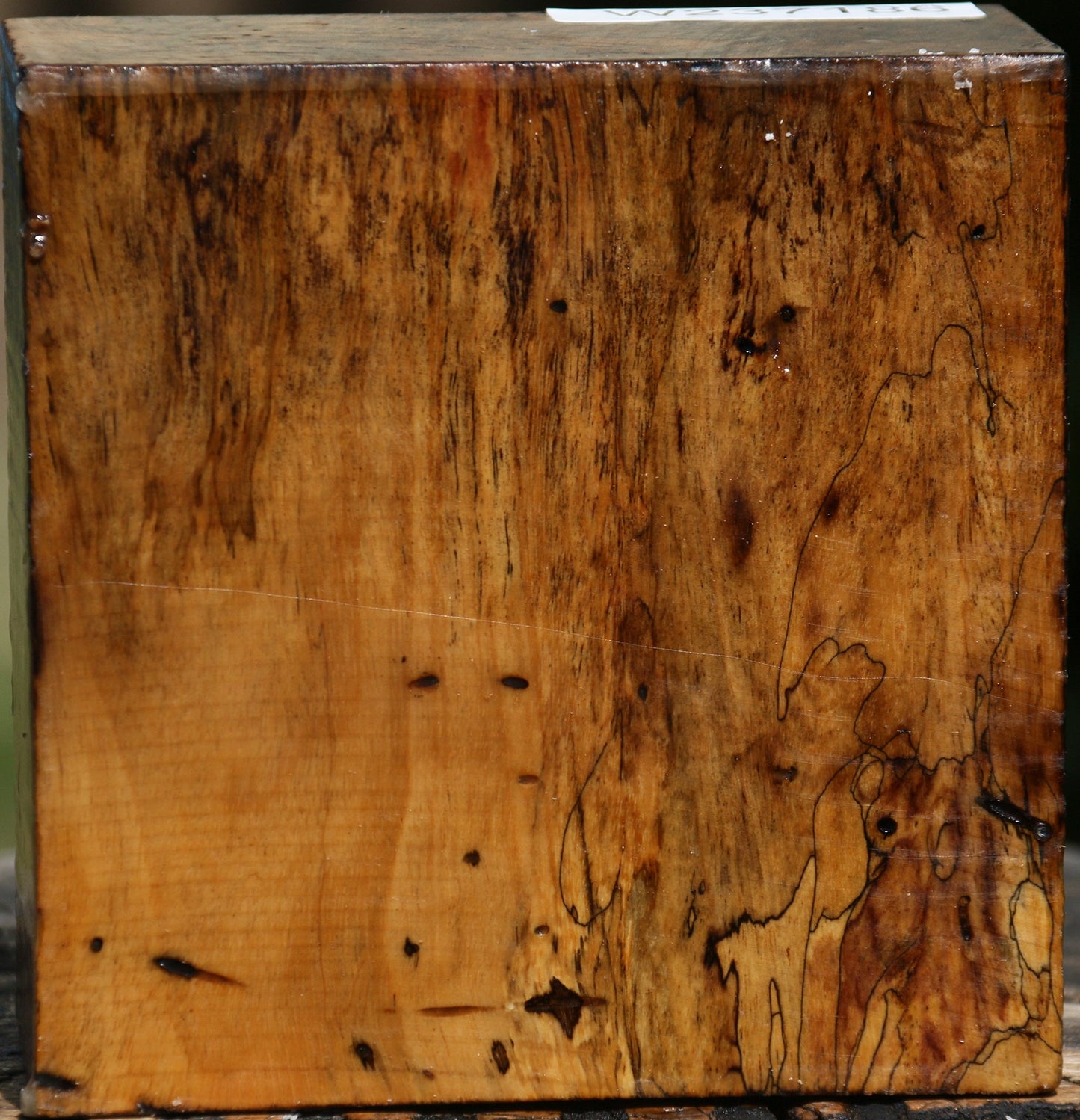 Figured Spalted Tamarind Bowl Blank