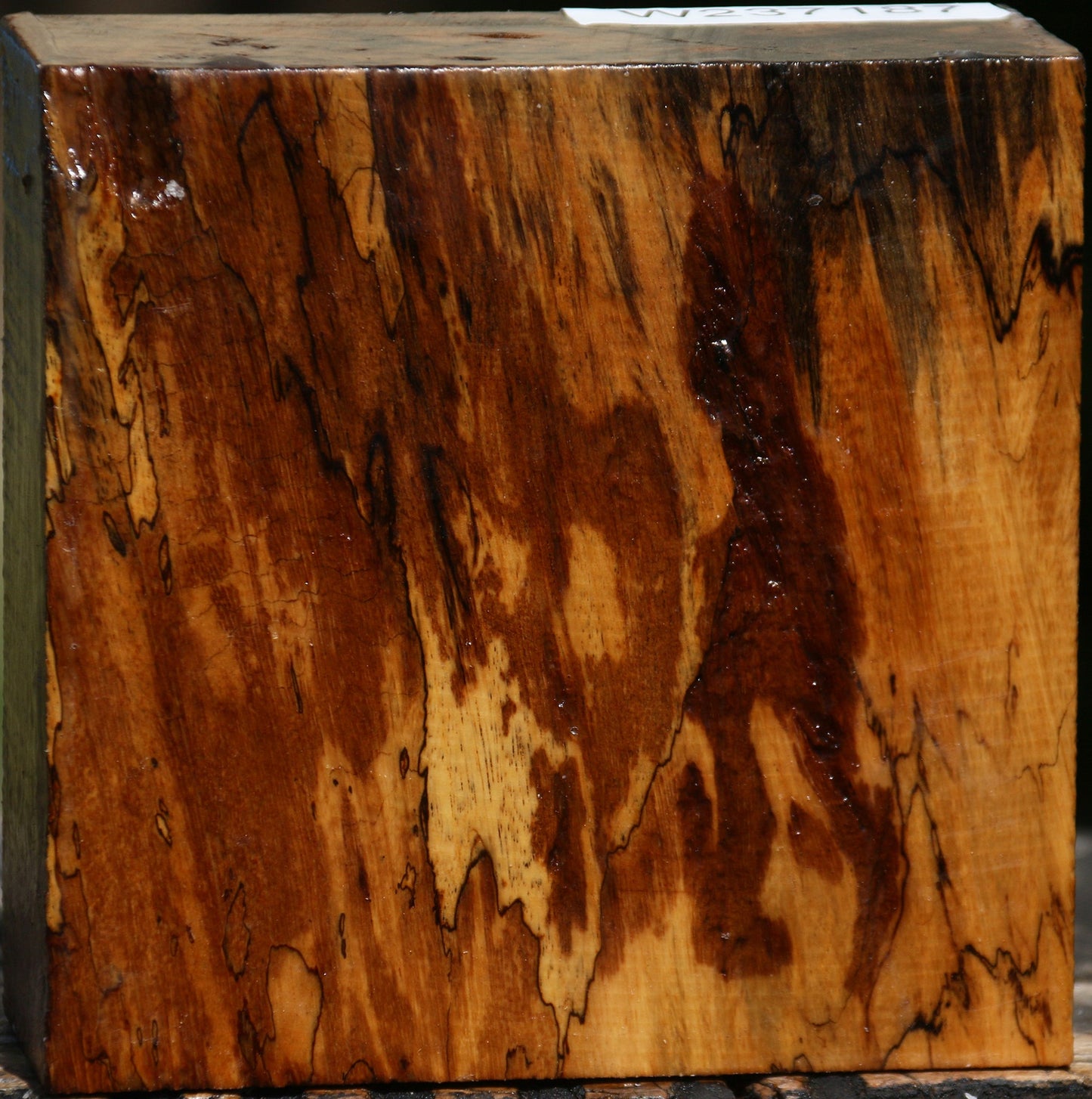 Figured Spalted Tamarind Bowl Blank