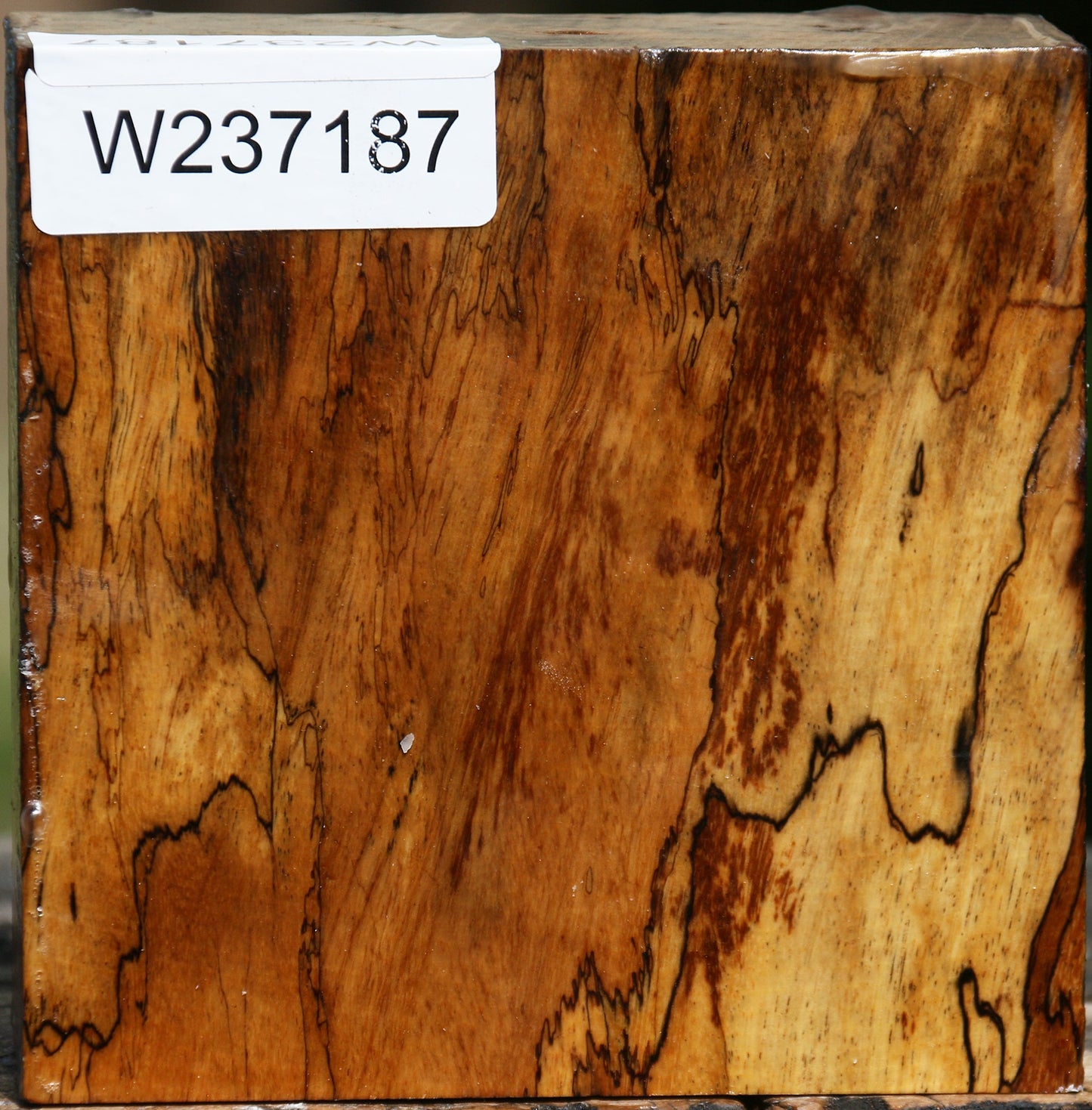 Figured Spalted Tamarind Bowl Blank