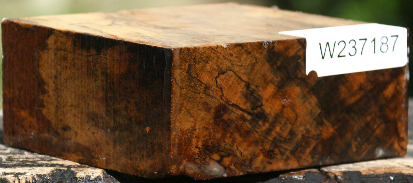 Figured Spalted Tamarind Bowl Blank