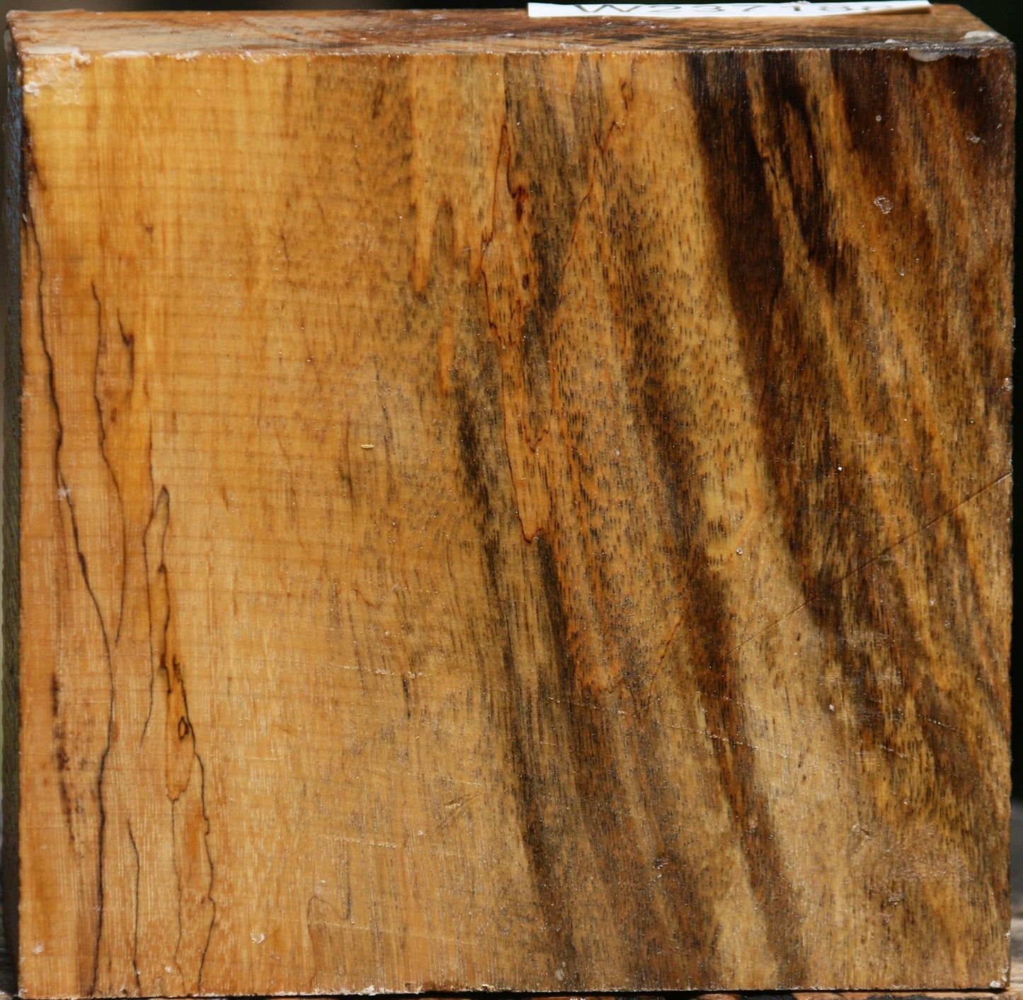 Spalted Tamarind Bowl Blank