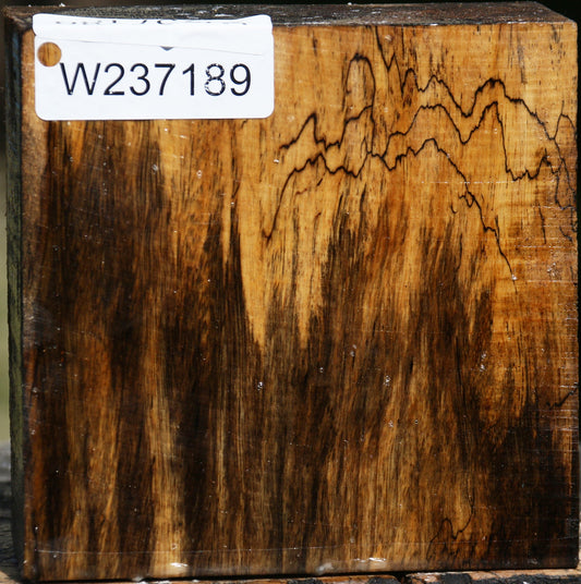 Figured Spalted Tamarind Bowl Blank