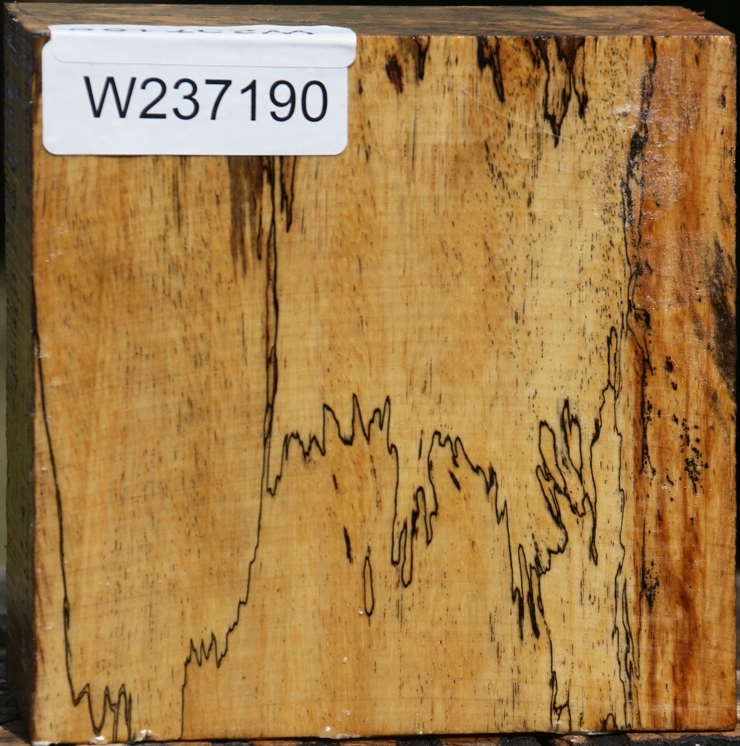 Figured Spalted Tamarind Bowl Blank