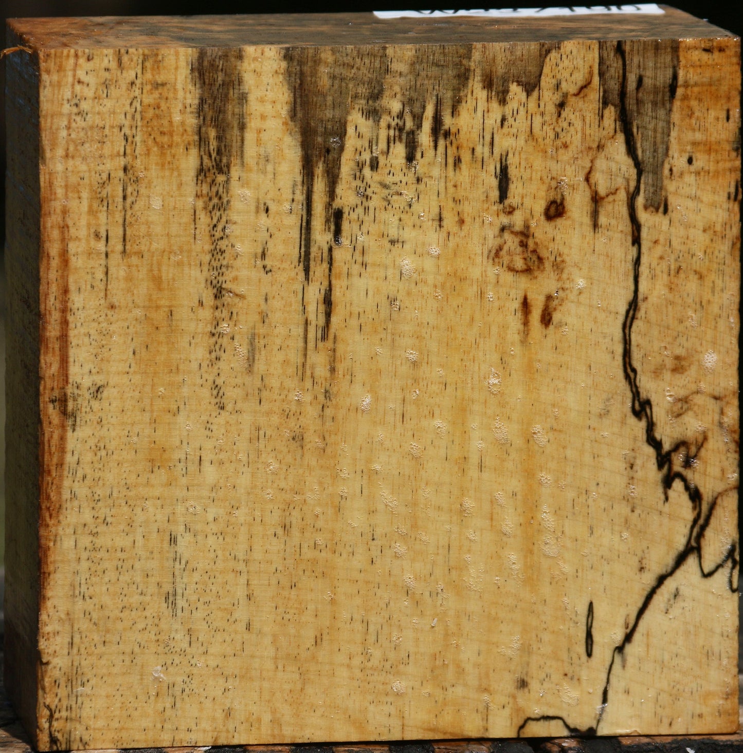 Figured Spalted Tamarind Bowl Blank