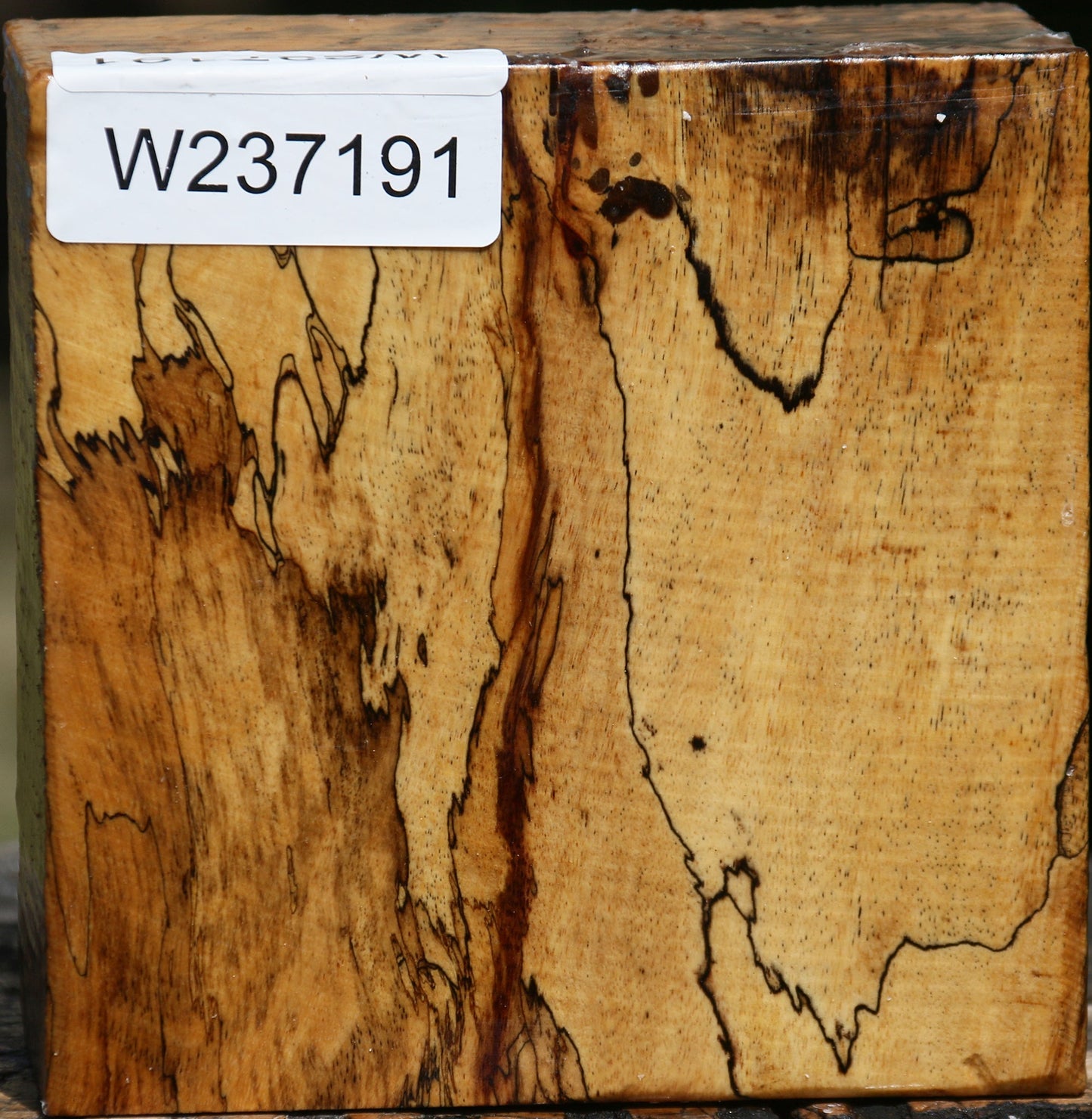 Extra Fancy Spalted Tamarind Bowl Blank