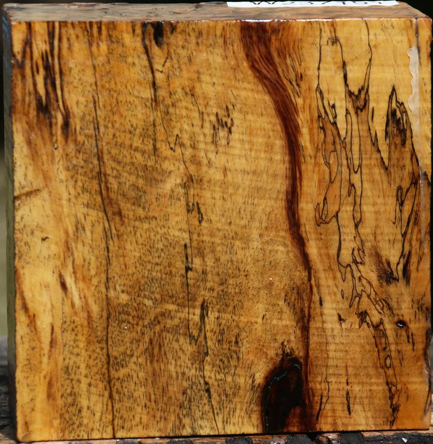 Extra Fancy Spalted Tamarind Bowl Blank