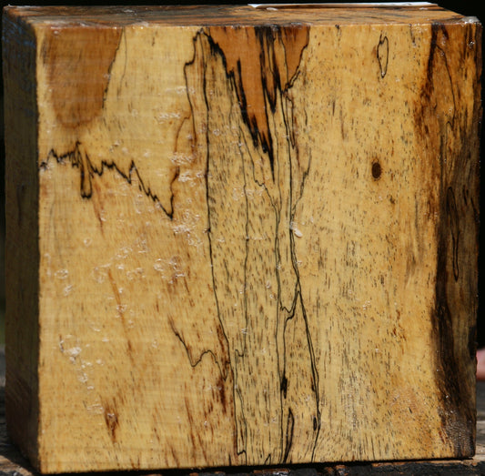 Figured Spalted Tamarind Bowl Blank