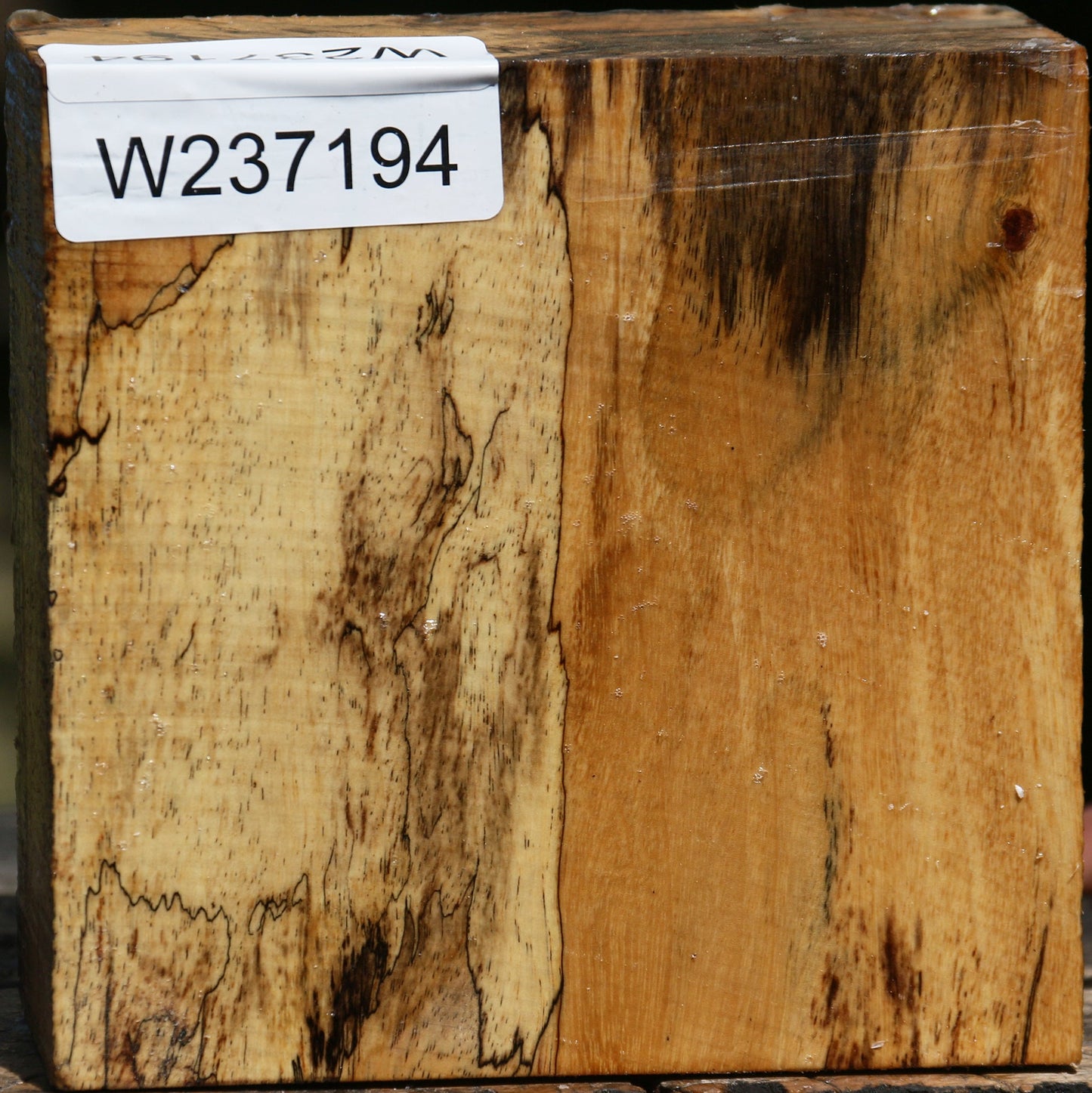 Figured Spalted Tamarind Bowl Blank