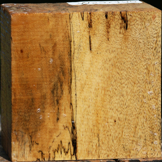 Spalted Tamarind Bowl Blank