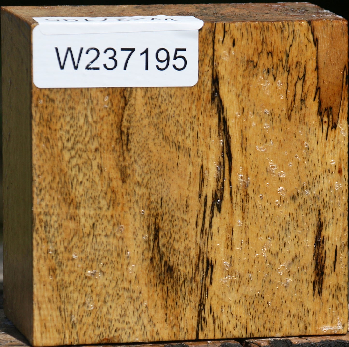 Spalted Tamarind Bowl Blank