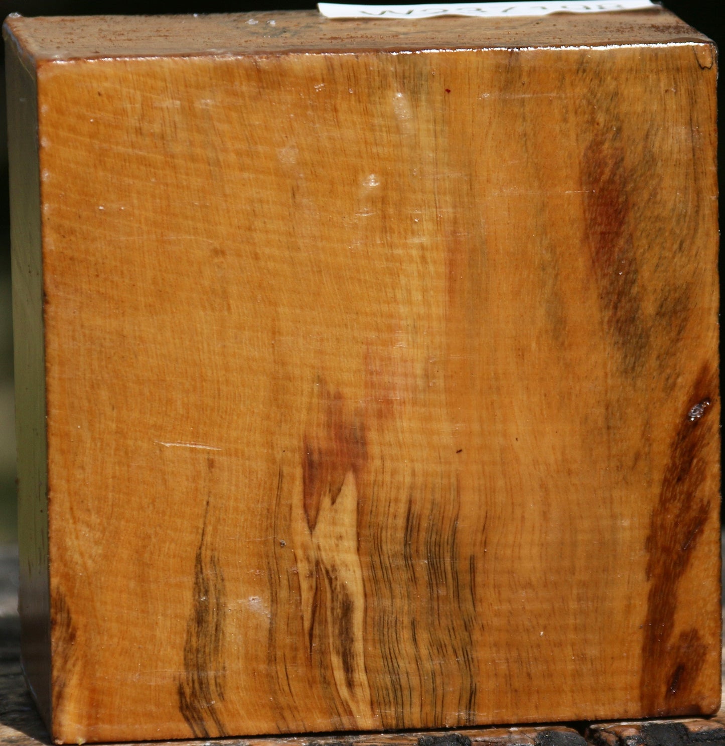 Spalted Tamarind Bowl Blank