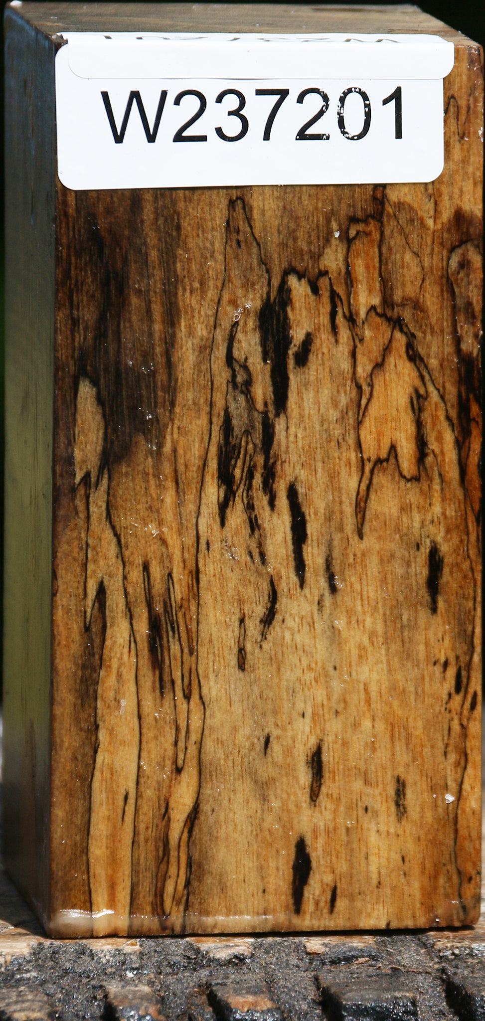 Spalted Tamarind Turning Blank