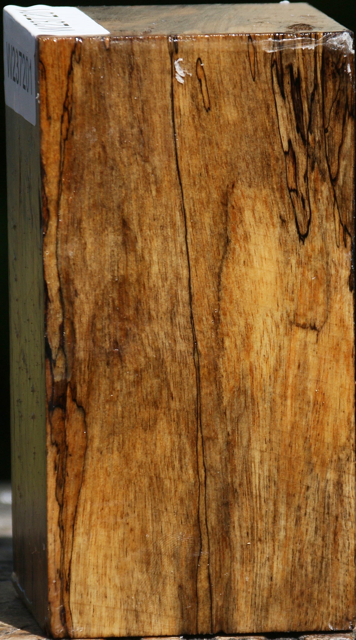 Spalted Tamarind Turning Blank