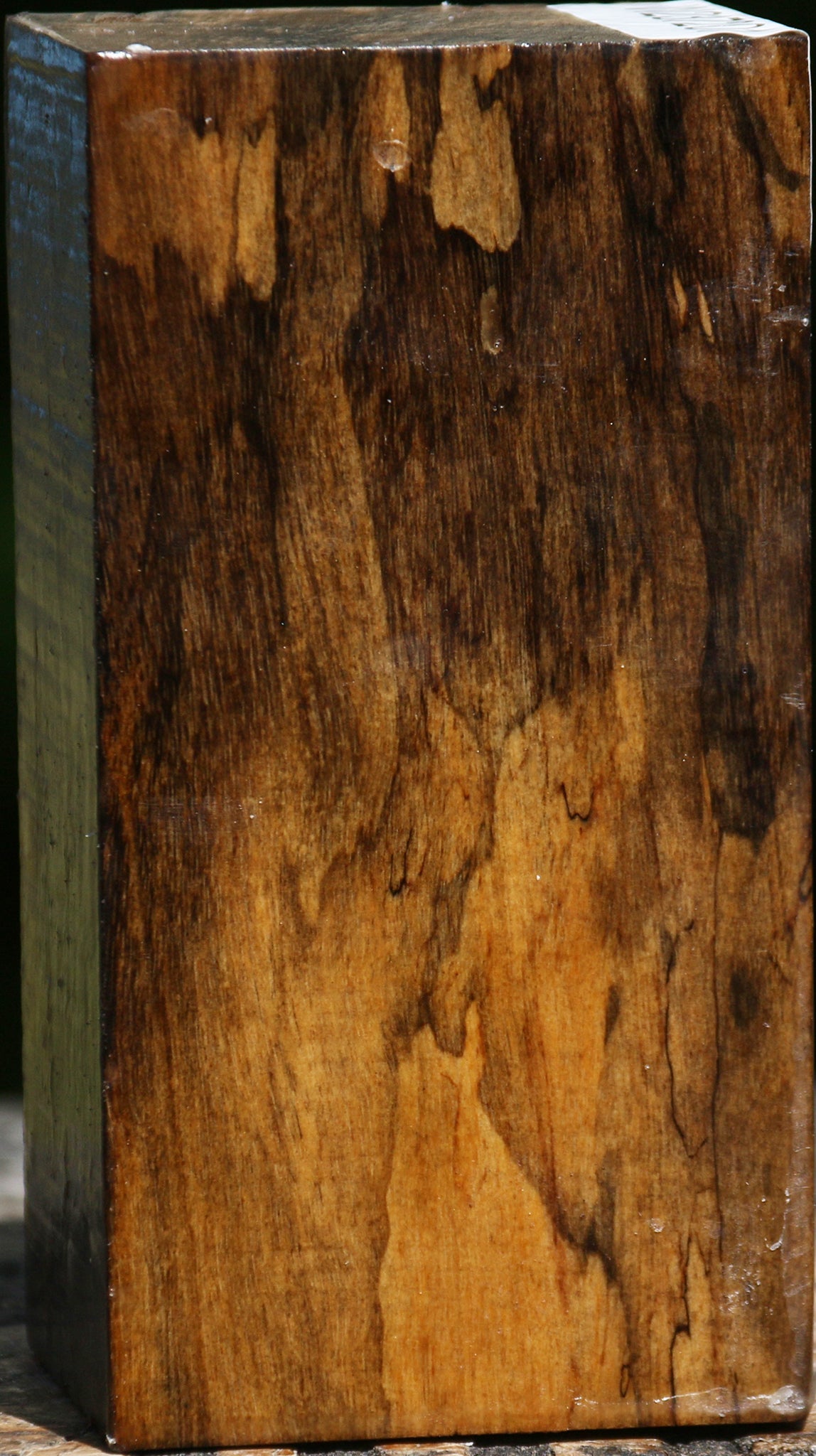 Spalted Tamarind Turning Blank