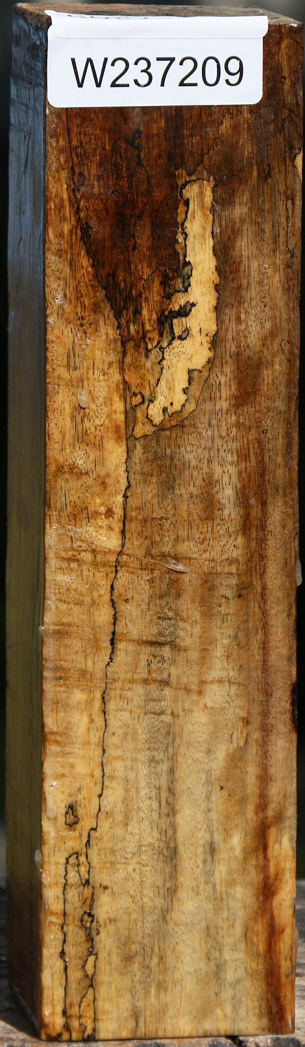 Extra Fancy Spalted Tamarind Peppermill