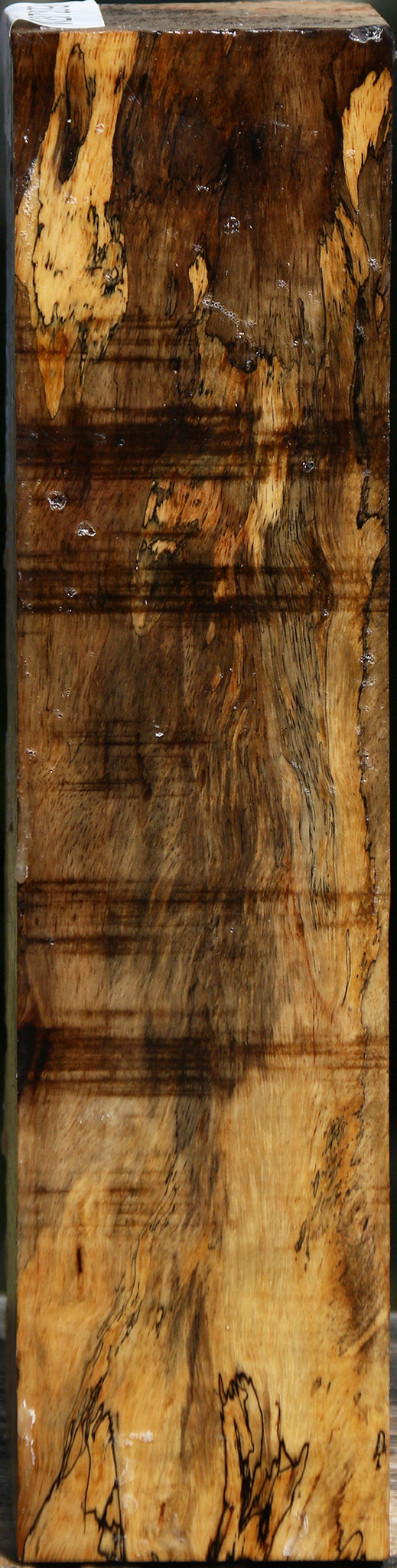 Extra Fancy Spalted Tamarind Peppermill