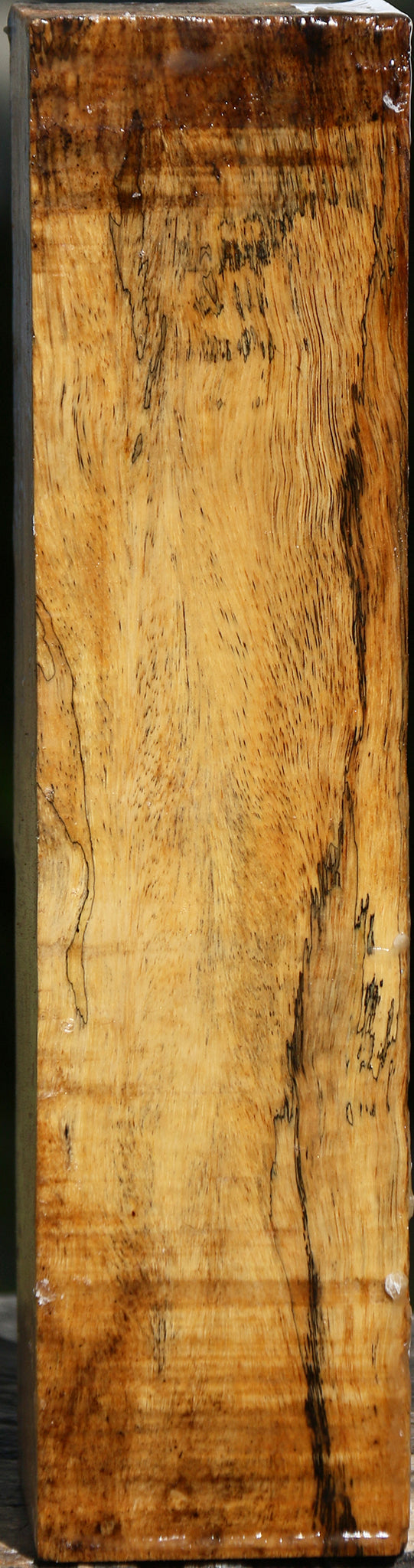 Extra Fancy Spalted Tamarind Peppermill