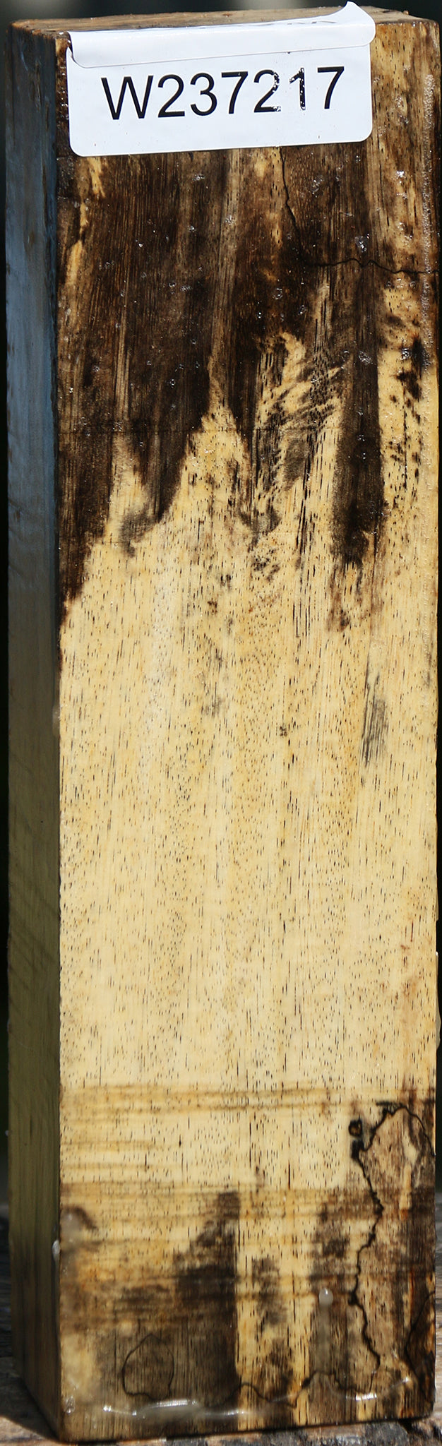 Spalted Tamarind Peppermill