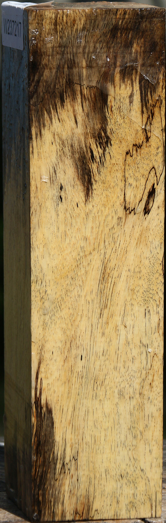 Spalted Tamarind Peppermill