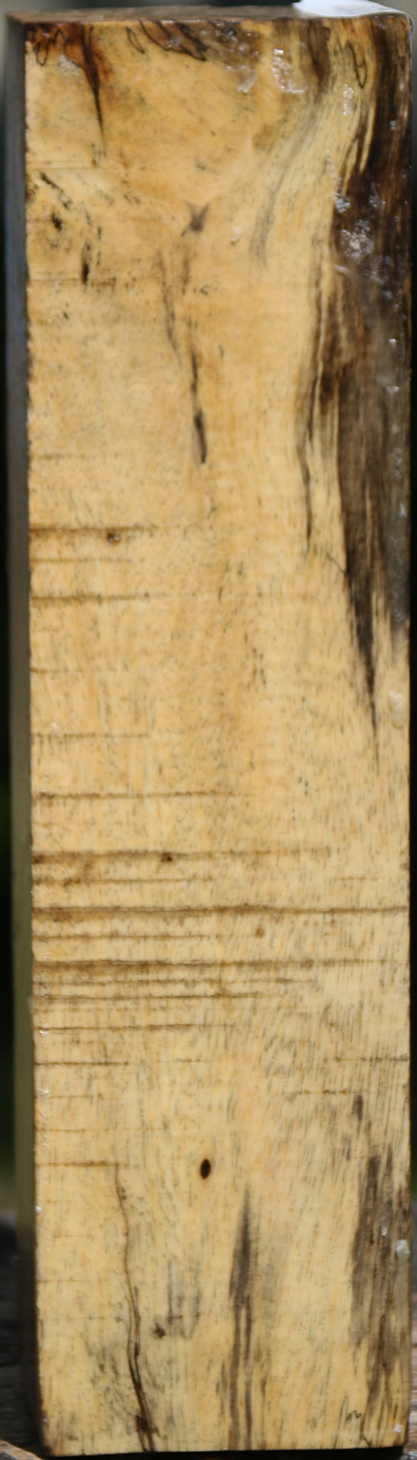 Spalted Tamarind Peppermill