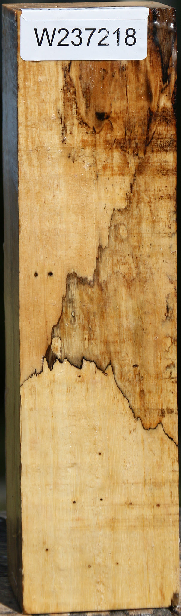 Spalted Tamarind Peppermill