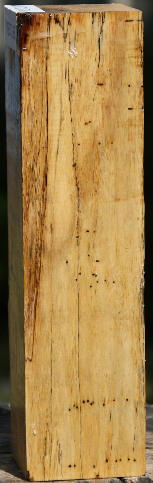 Spalted Tamarind Peppermill