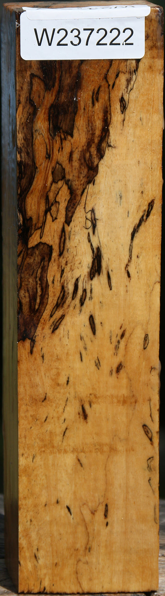 Extra Fancy Spalted Tamarind Peppermill